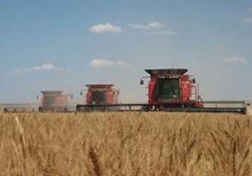 Odegard Custom Harvesting combines