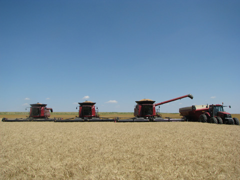 Odegard Custom Harvesting combines